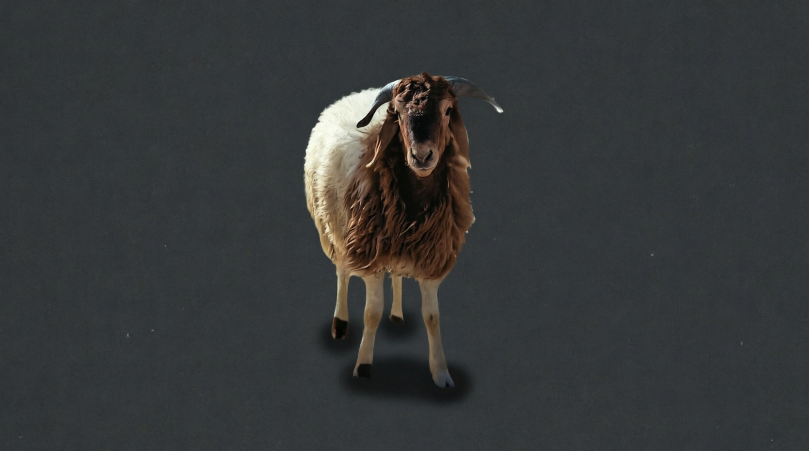 نعيمي أمامي